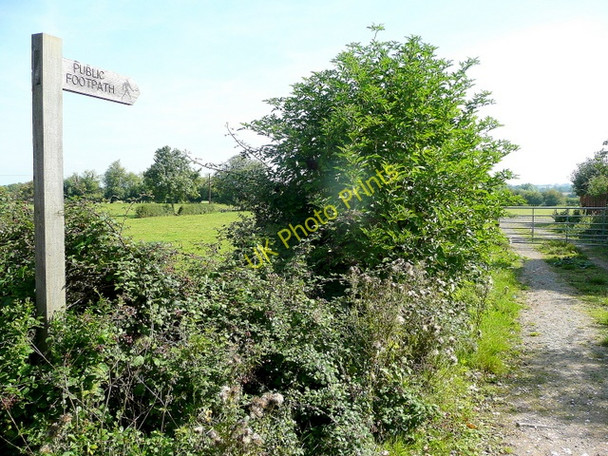 Photo 6"x4" Footpath to the Lugg marshes Hereford c2010