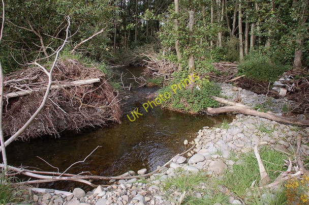 Photo 6"x4" Aftermath of floods on the Manor Water Bellanrigg c2010