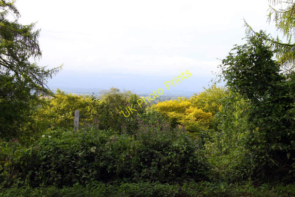 Photo 6"x4" Looking across woodland on Aston Hill Kingston Blount c2010