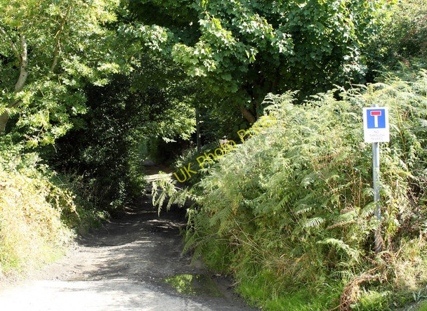 Photo 6"x4" 2010 : Drove Lane Easterton Sands c2010