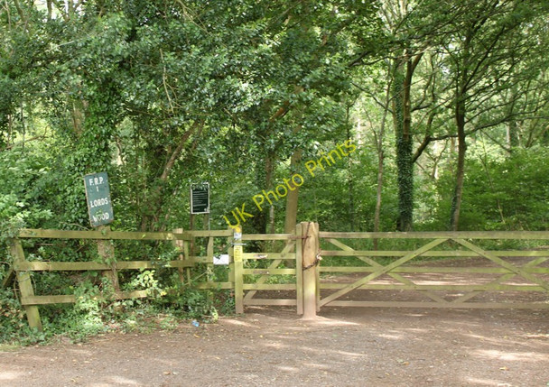 Photo 6"x4" 2010 : Entrance to Lord's Wood Compton Common\/ST6463 c2010