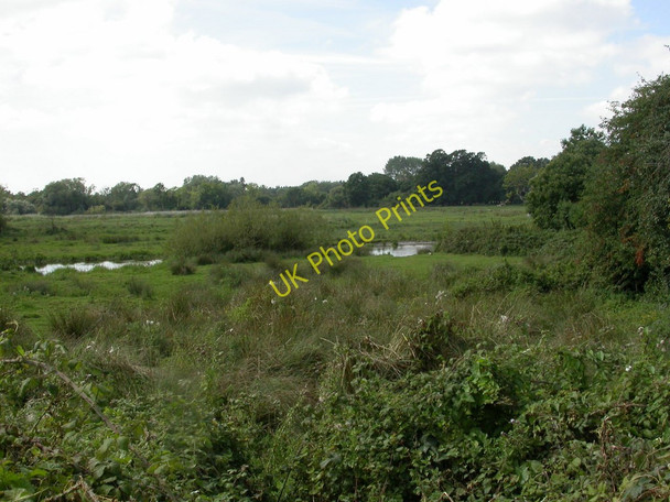 Photo 6"x4" Avon, watermeadows Avon\/SZ1498 c2010