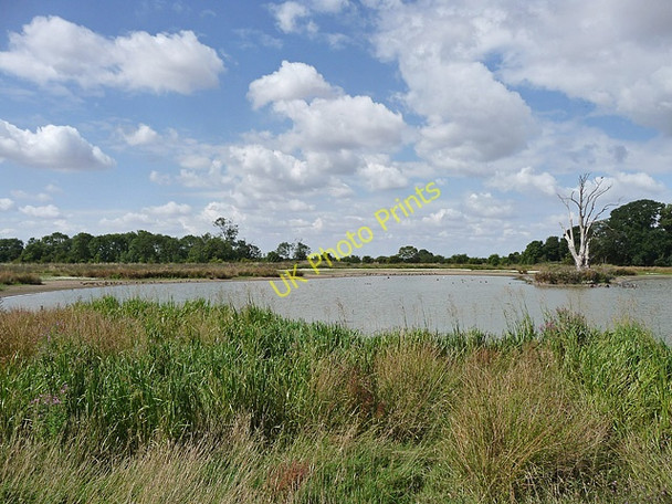 Photo 6"x4" Hagnaby Fen Nature Area (1) Fen Side\/TF3458 c2010