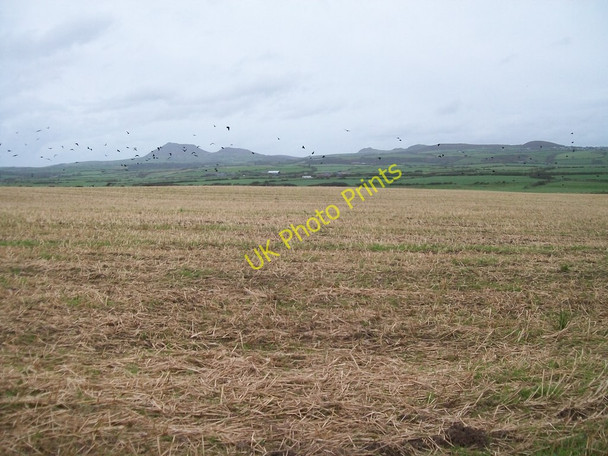 Photo 6"x4" Harvested cropland at Punt Gwynedd farm Tai-morfa c2010