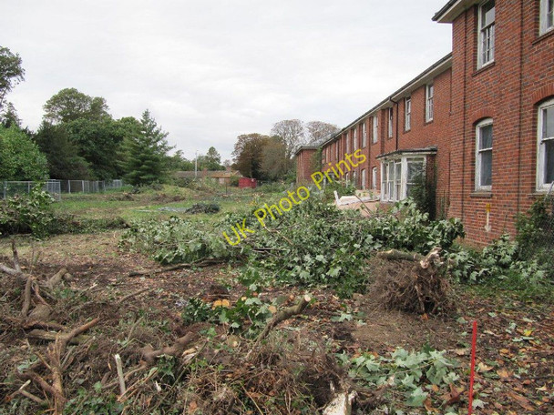 Photo 6"x4" Along the Villa Cholsey c2010