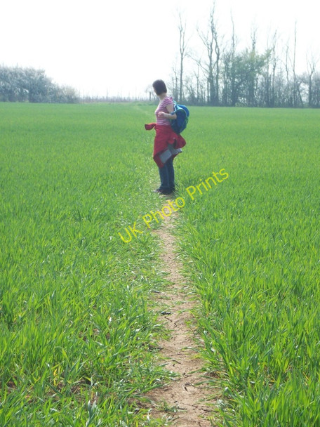 Photo 6"x4" Stow Maries Walk Howegreen c2010