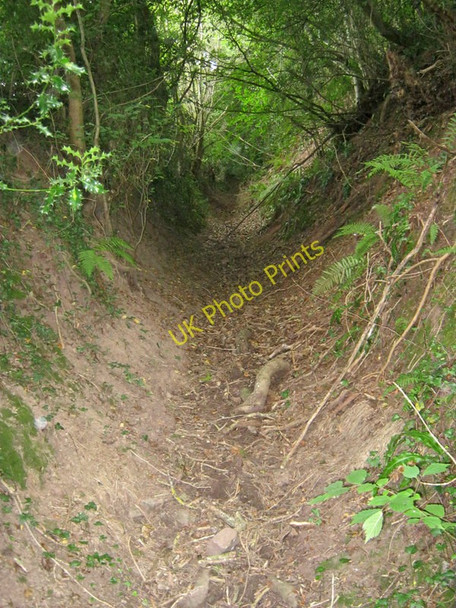 Photo 6"x4" Path south of Llanvetherine Caggle Street c2010
