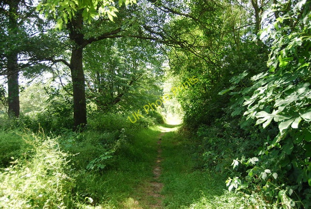 Photo 6"x4" Footpath to Hever Rd How Green c2010