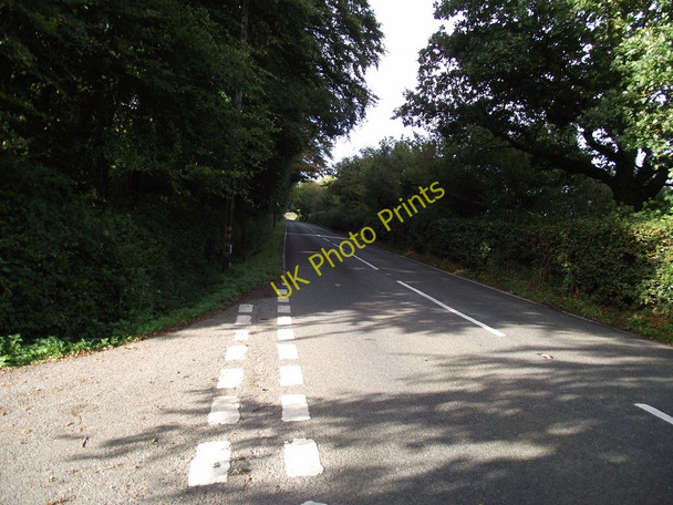 Photo 6"x4" Autumn  shade Blannicombe c2010