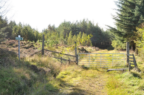 Photo 6"x4" Path to Loch Duntelchaig Clachindruim c2010