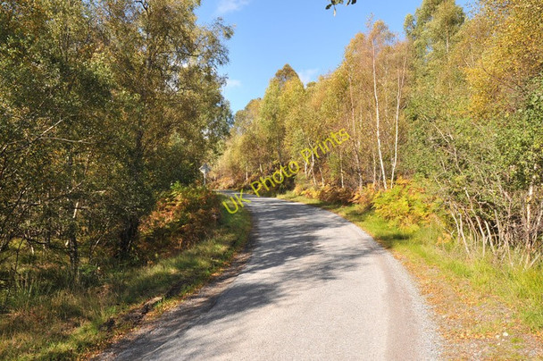 Photo 6"x4" Minor road near Dunlichity Creag a' Chlachain c2010