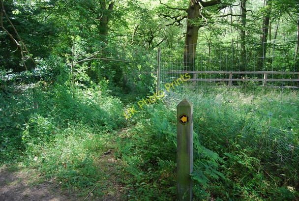 Photo 6"x4" Waymarker on the path to Barhatch Rd Ewhurst c2010