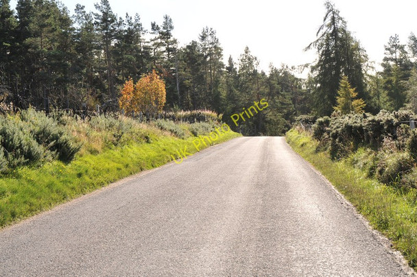 Photo 6"x4" B861 from Inverness to Farr near Tomfat Woods Carr B\u00e0n c2010