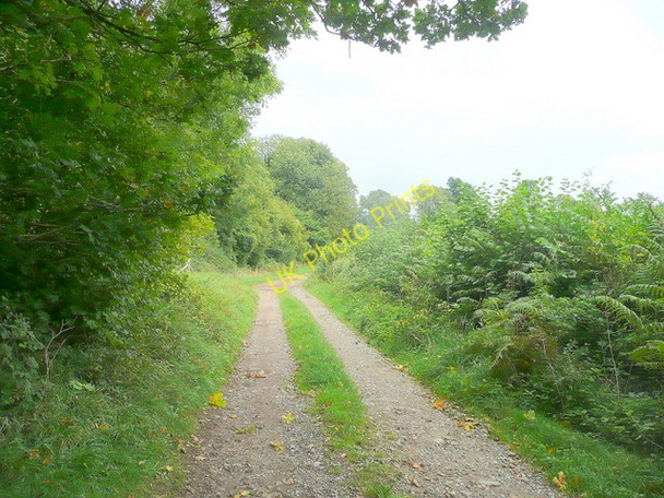 Photo 6"x4" Restricted byway to Abbotside Farm Cromhall c2010