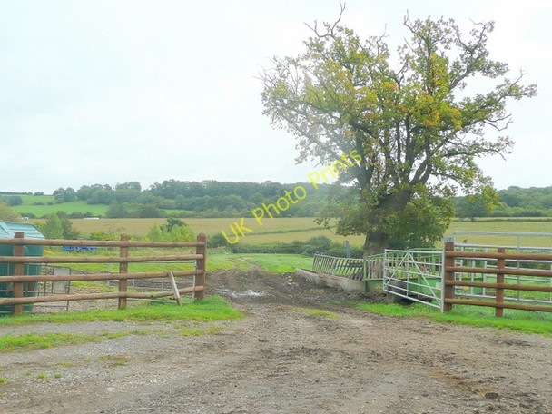 Photo 6"x4" Field entrance by Brinkmarsh Lane Farm Buckover c2010