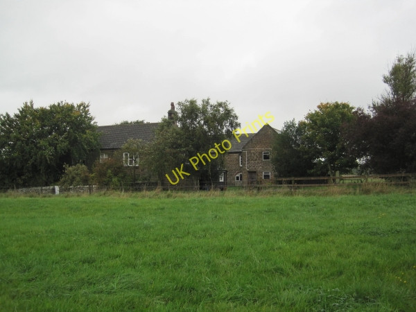 Photo 6"x4" Nesbitt Hill Head Harlow Hill\/NZ0768 c2010
