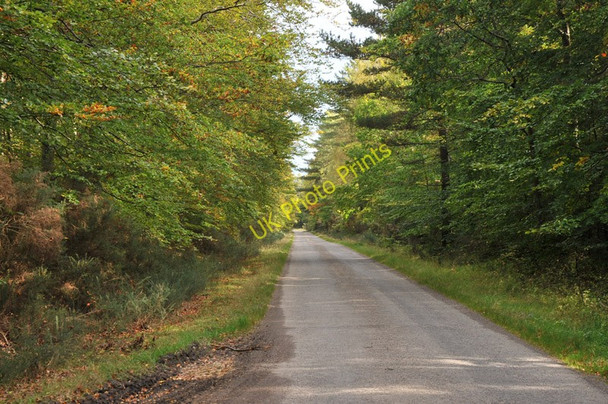 Photo 6"x4" Road from Nairn to Kintessack Cloddymoss c2010