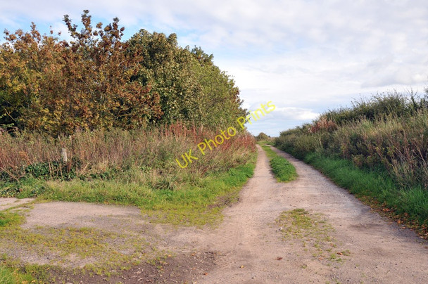 Photo 6"x4" Farm track at Wester Alves Alves c2010