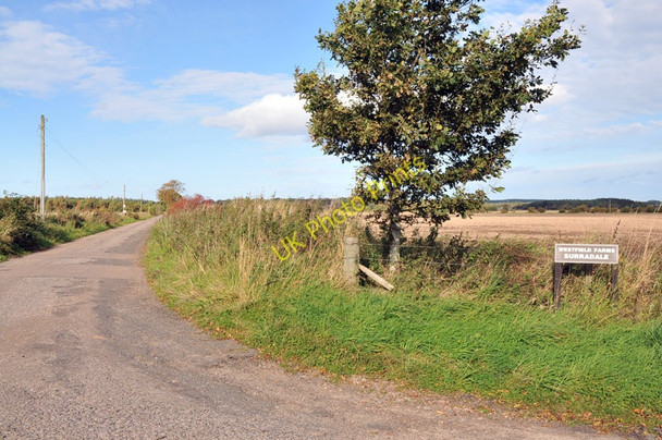 Photo 6"x4" Farm road to Surradale Quarrywood c2010
