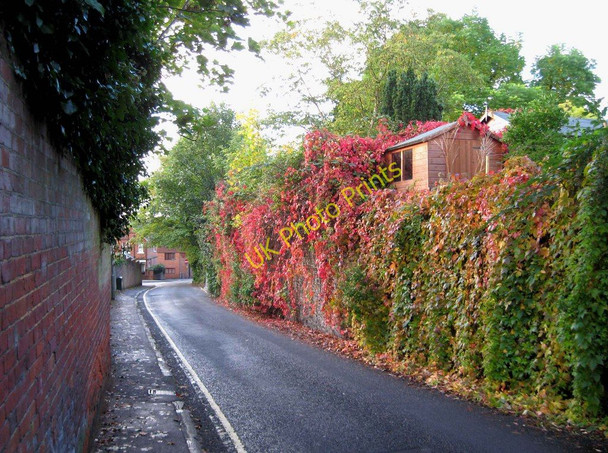 Photo 6"x4" Autumnal colours in Warren Road, looking northwest Guildford c2010