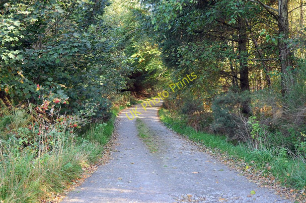 Photo 6"x4" Farm road into Poundler's Wood Burniestrype c2010