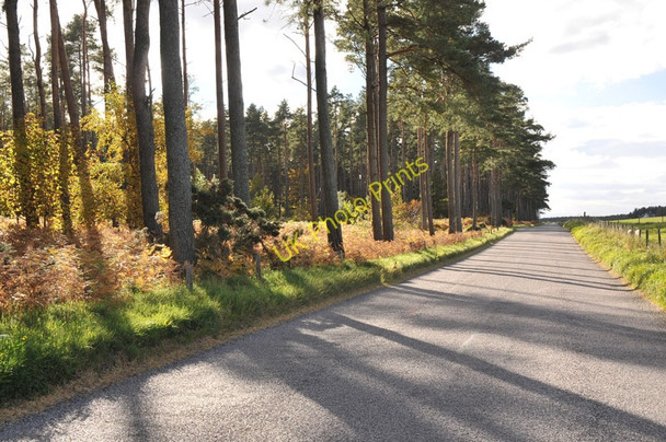 Photo 6"x4" Road from Garmouth to Lhanbryde passing Sleepieshill Wood Muir of Lochs c2010