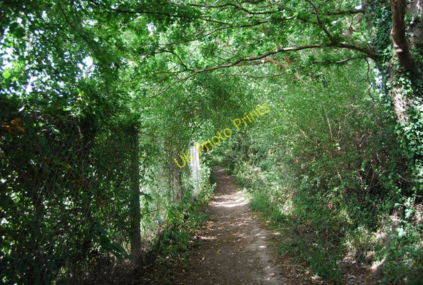 Photo 6"x4" Footpath heading south Cranleigh c2010