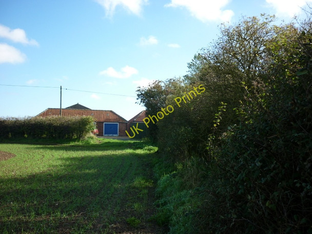 Photo 6"x4" Coming out at Moat Farm Flinton c2010