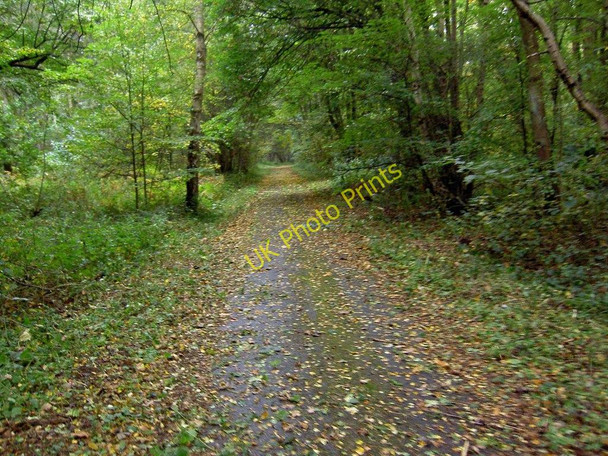 Photo 6"x4" Hanger Hill Drive Meden Vale c2010