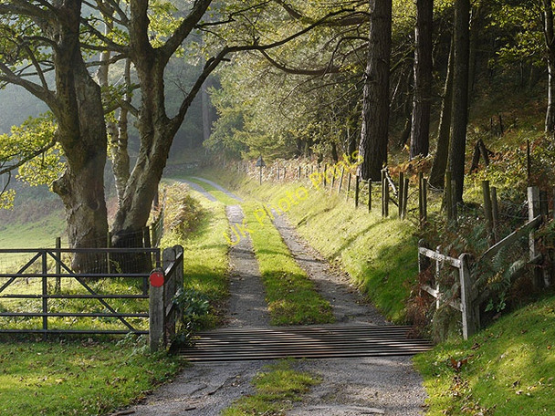 Photo 6"x4" Cattle grid above Cymerau Glandyfi c2010