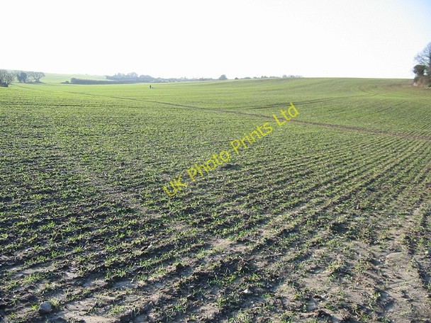 Photo 6"x4" Footpath across the fields, Little Mongeham Little Mongeham c2007