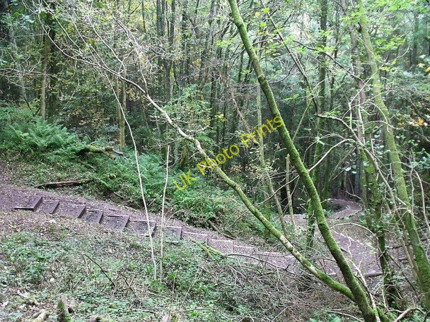 Photo 6"x4" Staircase up the gorge Millheugh\/NS7551 c2010