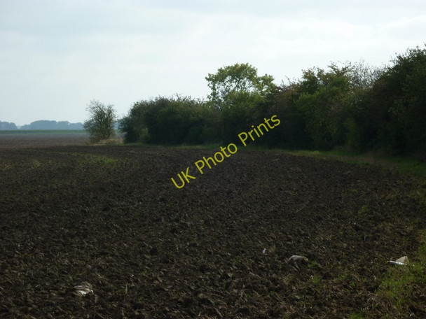 Photo 6"x4" A footpath to the South of Broomfleet Broomfleet c2010
