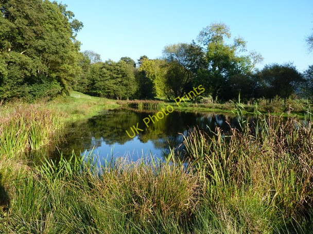 Photo 6"x4" Duckpond in Leighton Hall's grounds Garmston c2010