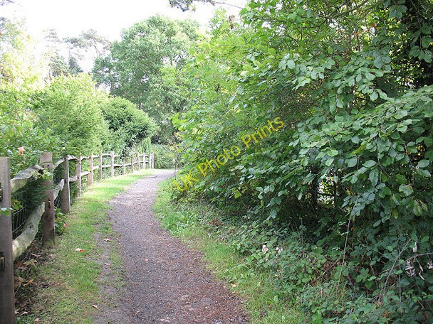 Photo 6"x4" Footpath to Hurst Green station Hurst Green\/TQ3951 c2010