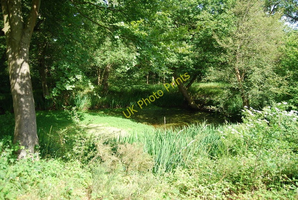 Photo 6"x4" Small pond in Piggott's Wood by Green Lane Cooper's Corner\/TQ4849 c2010