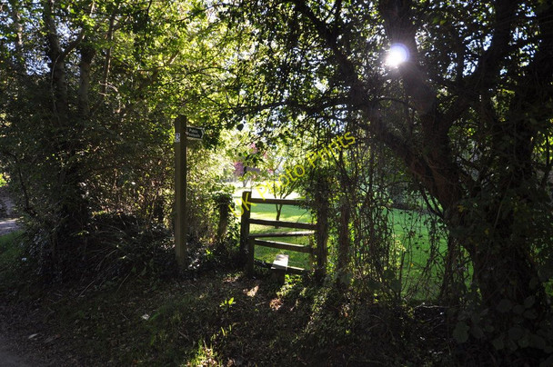 Photo 6"x4" A footpath from Lower Winsham to Hawcombe Lane Knowle\/SS4938 c2010