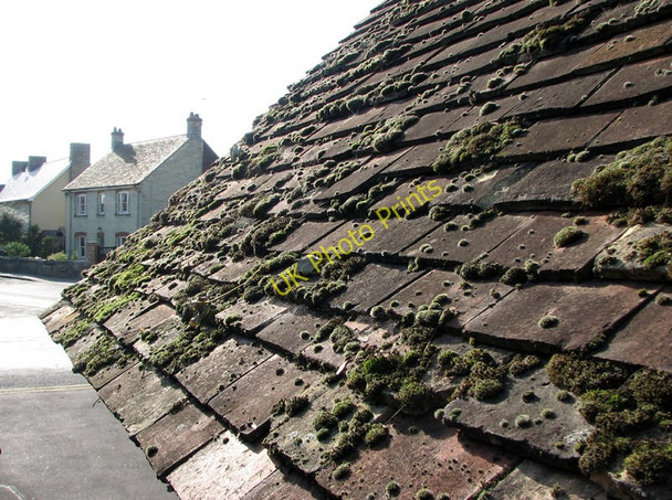Photo 6"x4" Fulbourn: October sunlight on mossy lychgate tiles Fulbourn c2010