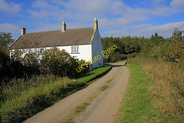 Photo 6"x4" Fox Folly Farm Coxwold c2010
