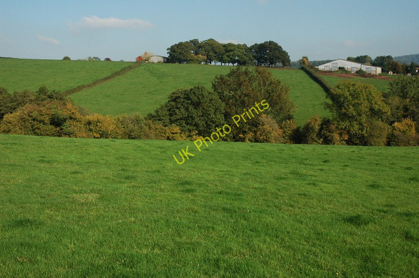 Photo 6"x4" Farmland at Four Ashes, Llangovan Kingcoed c2010