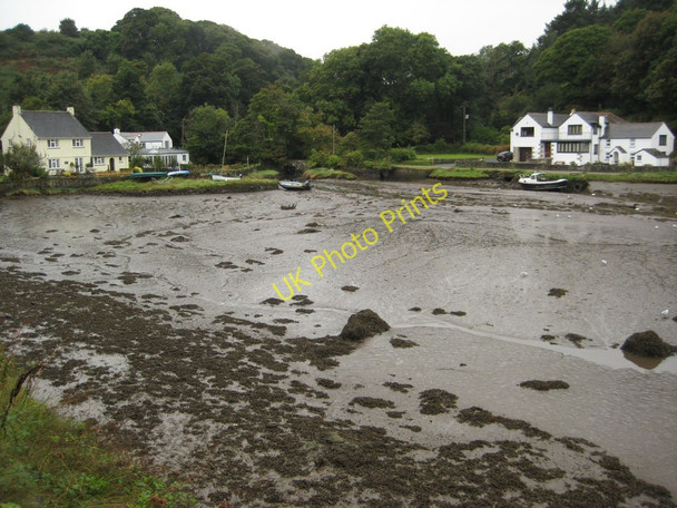 Photo 6"x4" Gillan Creek Carne\/SW7724 c2010
