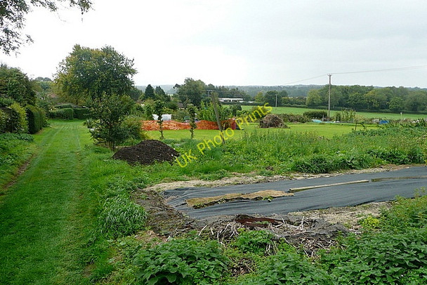 Photo 6"x4" Nettlebed allotments Huntercombe End c2010