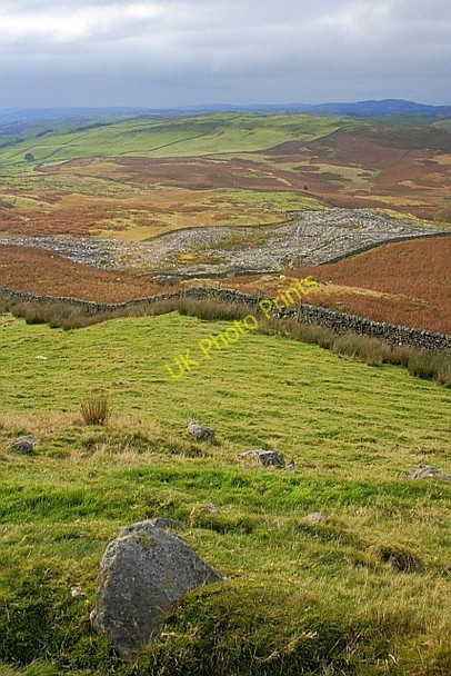 Photo 6"x4" Birk Rigg Plantation Green Quarter c2010