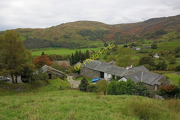 Photo 6"x4" Green Quarter Green Quarter c2010