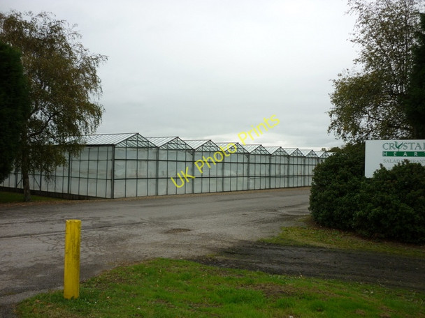 Photo 6"x4" Glasshouses at Crystal Heart Sandholme\/SE8230 c2010