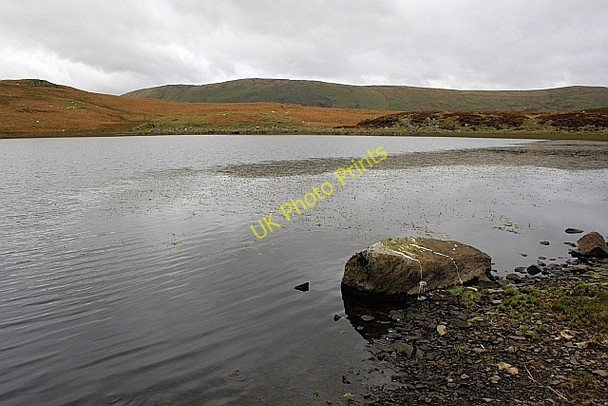 Photo 6"x4" Skeggles Water Green Quarter c2010