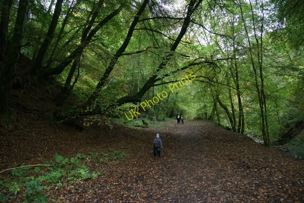 Photo 6"x4" Path through the Den o' Alyth Alyth c2010