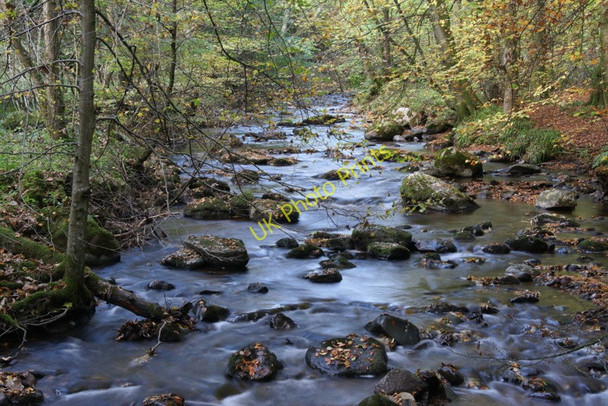 Photo 6"x4" Burn of Alyth in the Den o' Alyth Alyth c2010