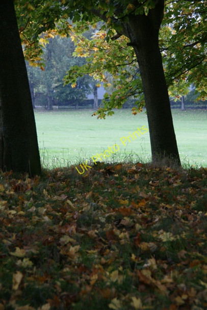 Photo 6"x4" Autumnal sycamores beside Loch of Forfar Forfar c2010