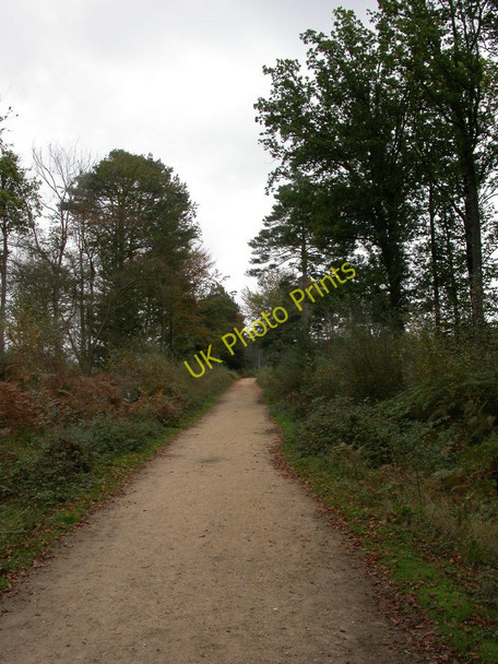 Photo 6"x4" Brownhill Inclosure, track Ossemsley c2010